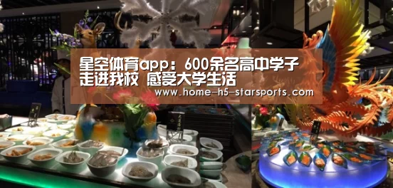星空体育下载
