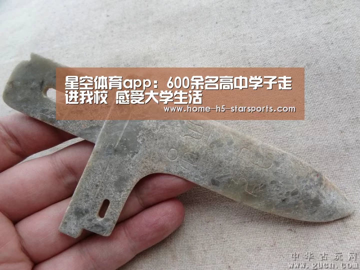 手机应用