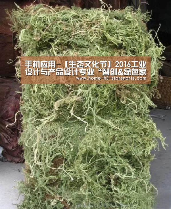 手机应用-【生态文化节】2016工业设计与产品设计专业“智创&绿色家居”毕业作品展开幕(图2) 星空体育下载