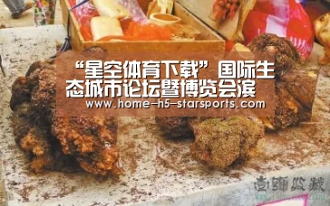 “星空体育下载”国际生态城市论坛暨博览会滨海国际会议中心举(图1) 星空体育app